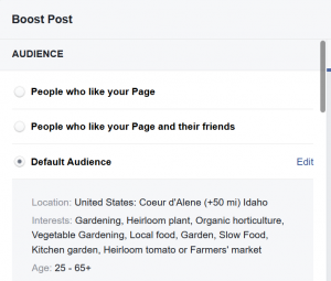 Facebook ads audience options | Godwin Marketing Communicaitons